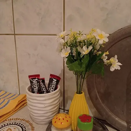 Apartman Studio Apartment Aila