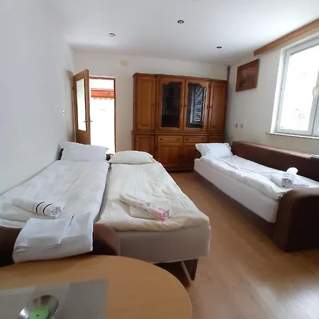 Studio Apartment Aila Grahoviste
